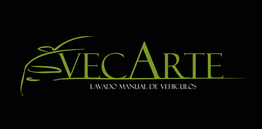 vecarte automocion